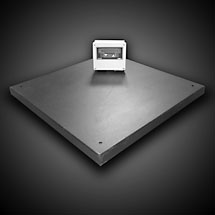 Image of Low- Profile Weigh Platform